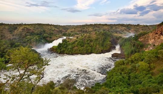 The ultimate 4 days Murchison falls safari