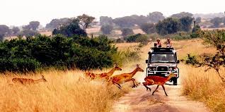 Queen Elizabeth National Park