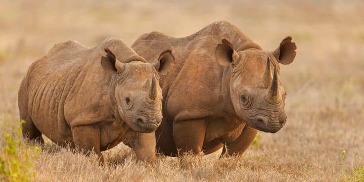 Rusizi National Park